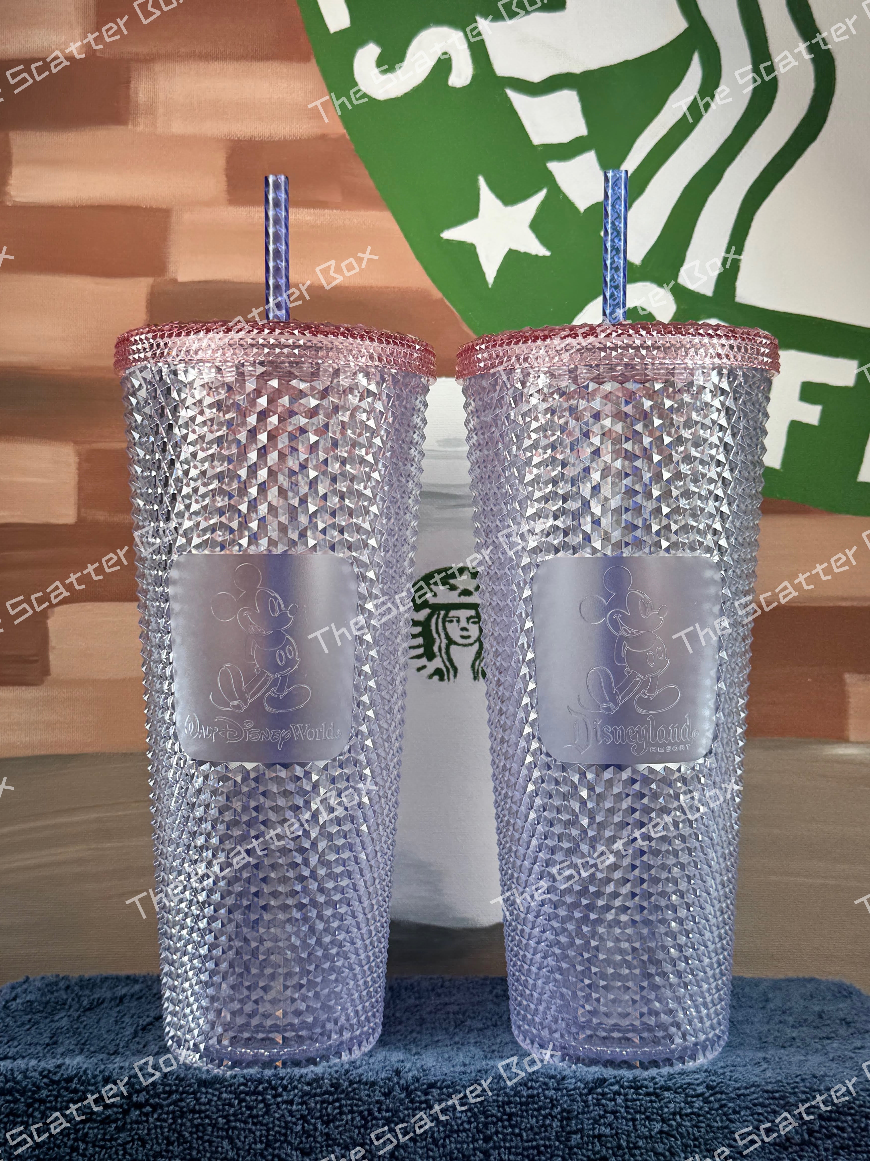 Starbucks + Disney Studded Limited Prototype Set